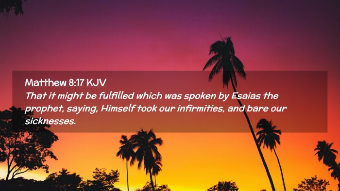 Picture 02 - Matthew 8:17 KJV Desktop Wallpaper - That it might be fulfilled which was spoken by - Desktop Bible Verse Wallpaper