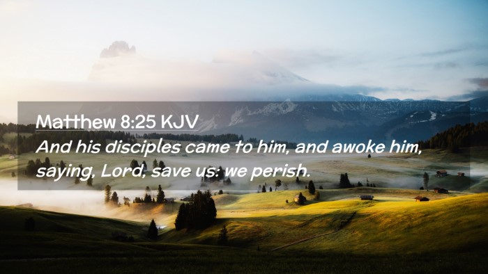 Picture 02 - Matthew 8:25 KJV Desktop Wallpaper - And his disciples came to him, and awoke him, - Desktop Bible Verse Wallpaper