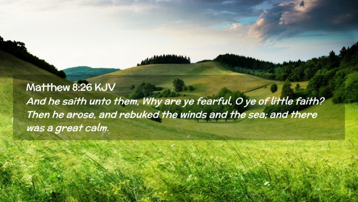 Picture 02 - Matthew 8:26 KJV Desktop Wallpaper - And he saith unto them, Why are ye fearful, O ye - Desktop Bible Verse Wallpaper
