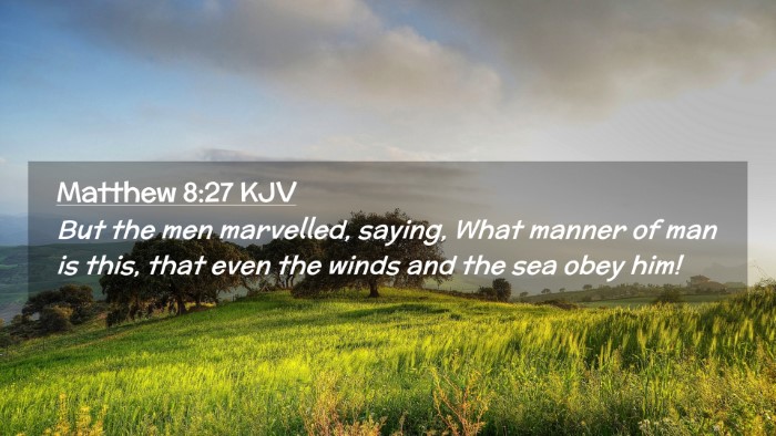 Picture 02 - Matthew 8:27 KJV Desktop Wallpaper - But the men marvelled, saying, What manner of man - Desktop Bible Verse Wallpaper