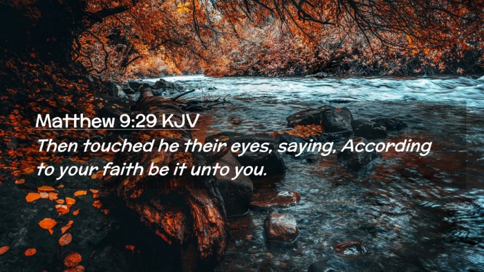 Picture 02 - Matthew 9:29 KJV Desktop Wallpaper - Then touched he their eyes, saying, According to - Desktop Bible Verse Wallpaper