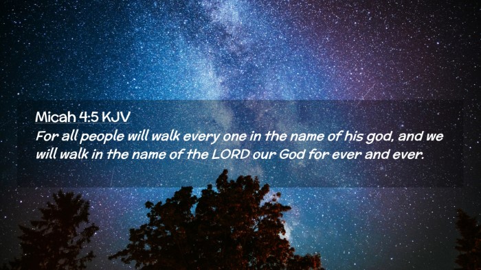 Picture 02 - Micah 4:5 KJV Desktop Wallpaper - For all people will walk every one in the name of - Desktop Bible Verse Wallpaper