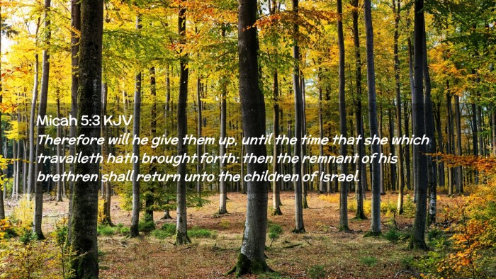 Picture 02 - Micah 5:3 KJV Desktop Wallpaper - Therefore will he give them up, until the time - Desktop Bible Verse Wallpaper