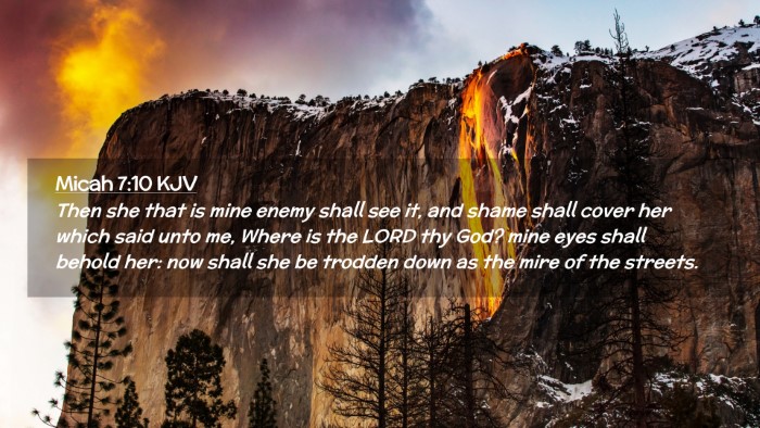 Picture 02 - Micah 7:10 KJV Desktop Wallpaper - Then she that is mine enemy shall see it, and - Desktop Bible Verse Wallpaper
