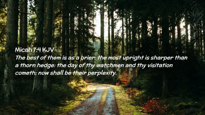 Picture 02 - Micah 7:4 KJV Desktop Wallpaper - The best of them is as a brier: the most upright - Desktop Bible Verse Wallpaper