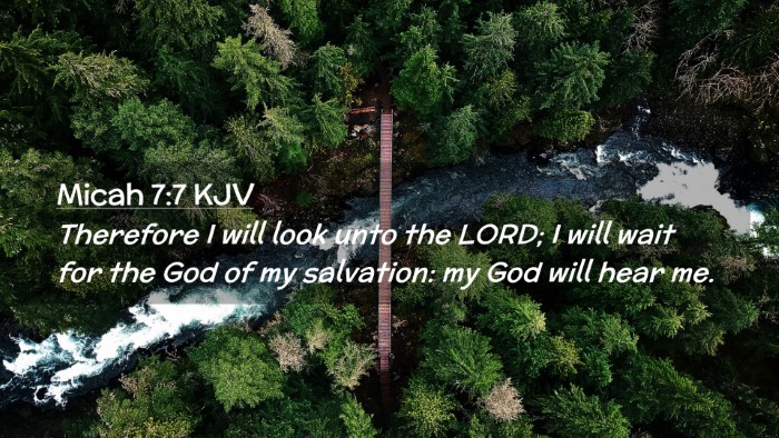 Picture 02 - Micah 7:7 KJV Desktop Wallpaper - Therefore I will look unto the LORD; I will wait - Desktop Bible Verse Wallpaper
