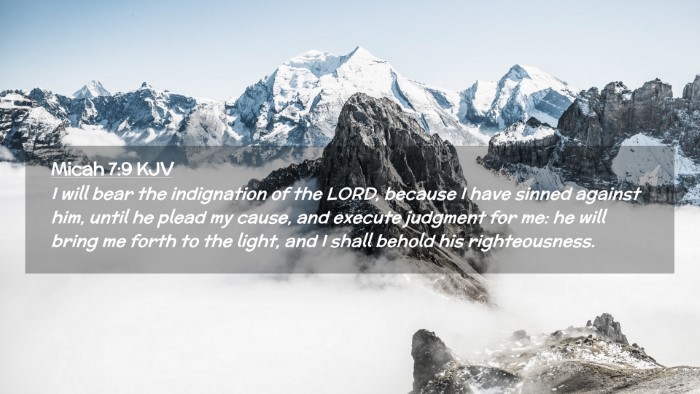 Picture 02 - Micah 7:9 KJV Desktop Wallpaper - I will bear the indignation of the LORD, because - Desktop Bible Verse Wallpaper