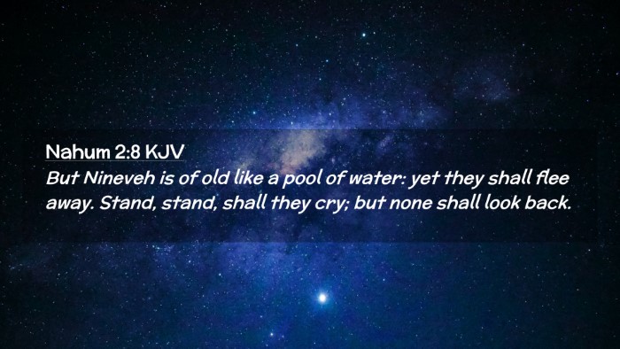 Picture 02 - Nahum 2:8 KJV Desktop Wallpaper - But Nineveh is of old like a pool of water: yet - Desktop Bible Verse Wallpaper