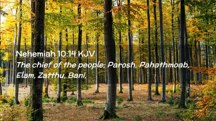 Picture 02 - Nehemiah 10:14 KJV Desktop Wallpaper - The chief of the people; Parosh, Pahathmoab, - Desktop Bible Verse Wallpaper