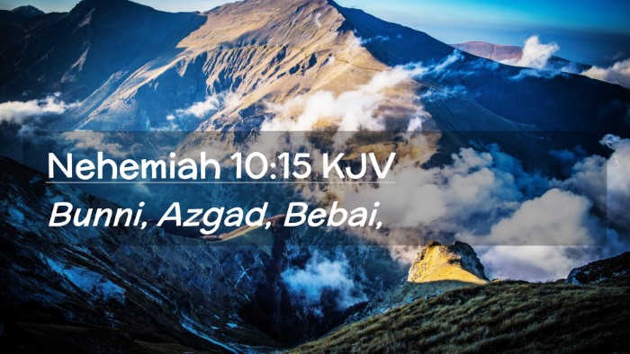 Picture 02 - Nehemiah 10:15 KJV Desktop Wallpaper - Bunni, Azgad, - Desktop Bible Verse Wallpaper