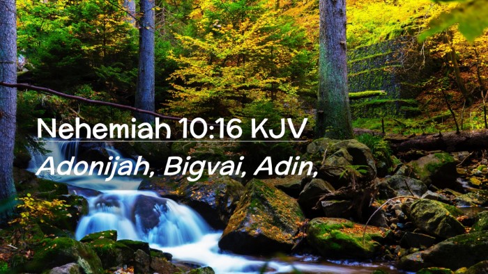 Picture 02 - Nehemiah 10:16 KJV Desktop Wallpaper - Adonijah, Bigvai, - Desktop Bible Verse Wallpaper