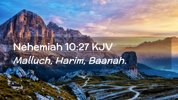 Picture 02 - Nehemiah 10:27 KJV Desktop Wallpaper - Malluch, Harim, - Desktop Bible Verse Wallpaper