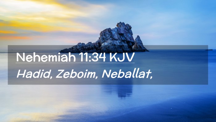 Picture 02 - Nehemiah 11:34 KJV Desktop Wallpaper - Hadid, Zeboim, - Desktop Bible Verse Wallpaper