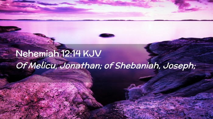 Picture 02 - Nehemiah 12:14 KJV Desktop Wallpaper - Of Melicu, Jonathan; of Shebaniah, - Desktop Bible Verse Wallpaper