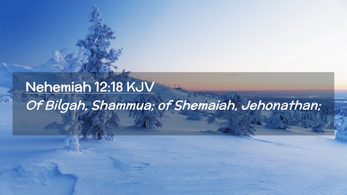 Picture 02 - Nehemiah 12:18 KJV Desktop Wallpaper - Of Bilgah, Shammua; of Shemaiah, - Desktop Bible Verse Wallpaper