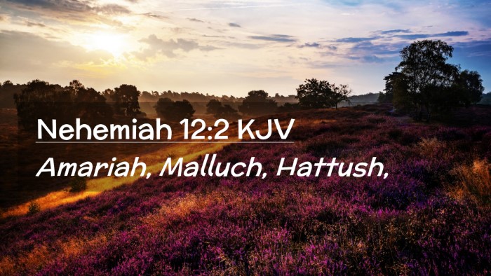 Picture 02 - Nehemiah 12:2 KJV Desktop Wallpaper - Amariah, Malluch, - Desktop Bible Verse Wallpaper