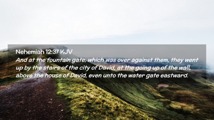 Picture 02 - Nehemiah 12:37 KJV Desktop Wallpaper - And at the fountain gate, which was over against - Desktop Bible Verse Wallpaper