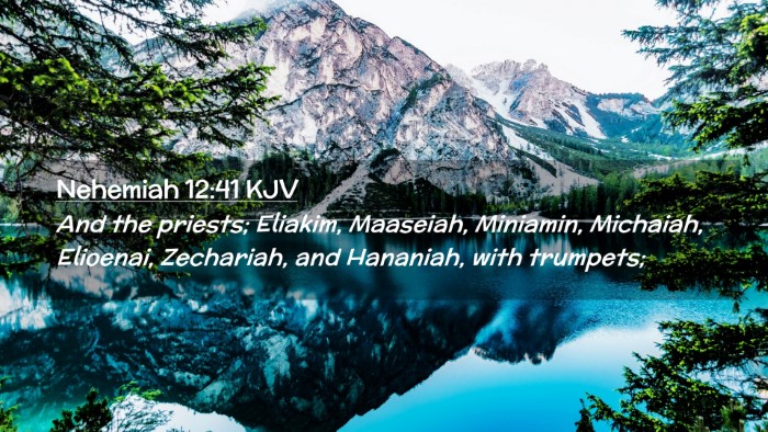Picture 02 - Nehemiah 12:41 KJV Desktop Wallpaper - And the priests; Eliakim, Maaseiah, Miniamin, - Desktop Bible Verse Wallpaper