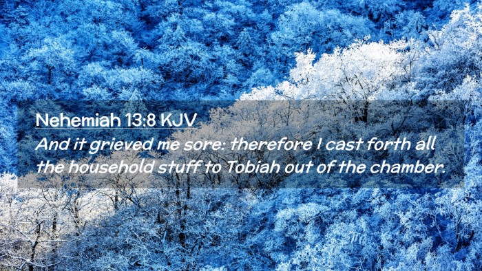 Picture 02 - Nehemiah 13:8 KJV Desktop Wallpaper - And it grieved me sore: therefore I cast forth - Desktop Bible Verse Wallpaper