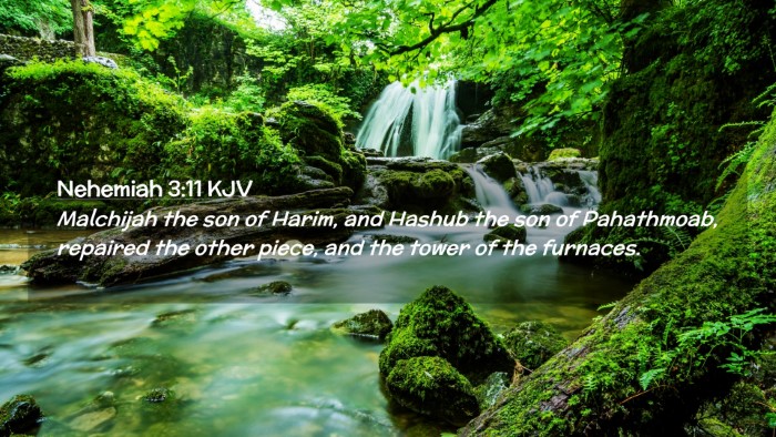 Picture 02 - Nehemiah 3:11 KJV Desktop Wallpaper - Malchijah the son of Harim, and Hashub the son of - Desktop Bible Verse Wallpaper