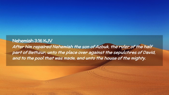Picture 02 - Nehemiah 3:16 KJV Desktop Wallpaper - After him repaired Nehemiah the son of Azbuk, the - Desktop Bible Verse Wallpaper