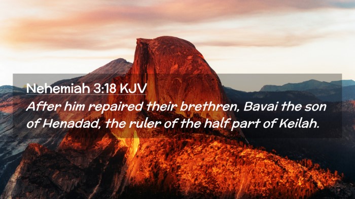 Picture 02 - Nehemiah 3:18 KJV Desktop Wallpaper - After him repaired their brethren, Bavai the son - Desktop Bible Verse Wallpaper