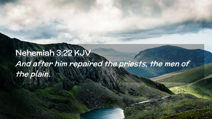 Picture 02 - Nehemiah 3:22 KJV Desktop Wallpaper - And after him repaired the priests, the men of - Desktop Bible Verse Wallpaper