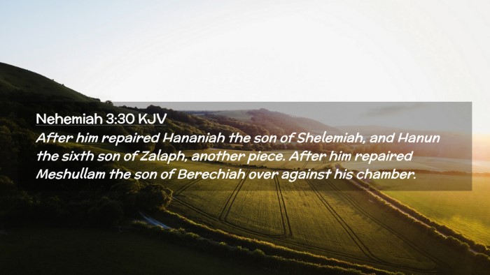 Picture 02 - Nehemiah 3:30 KJV Desktop Wallpaper - After him repaired Hananiah the son of Shelemiah, - Desktop Bible Verse Wallpaper