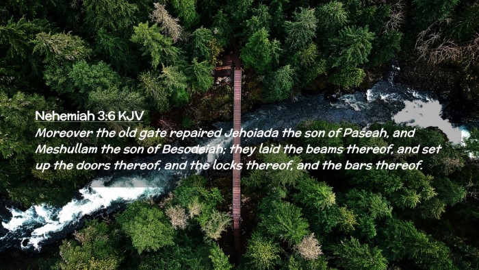 Picture 02 - Nehemiah 3:6 KJV Desktop Wallpaper - Moreover the old gate repaired Jehoiada the son - Desktop Bible Verse Wallpaper