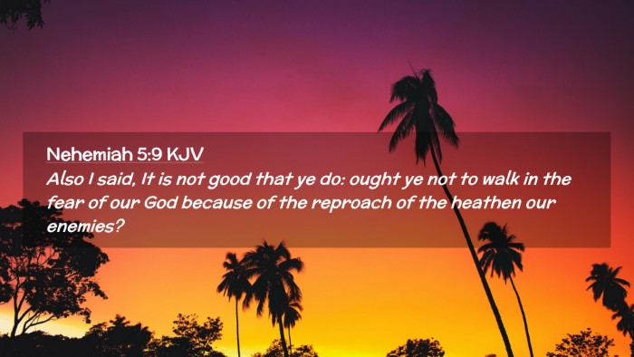 Picture 02 - Nehemiah 5:9 KJV Desktop Wallpaper - Also I said, It is not good that ye do: ought ye - Desktop Bible Verse Wallpaper