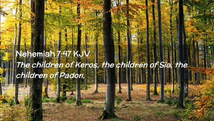 Picture 02 - Nehemiah 7:47 KJV Desktop Wallpaper - The children of Keros, the children of Sia, the - Desktop Bible Verse Wallpaper