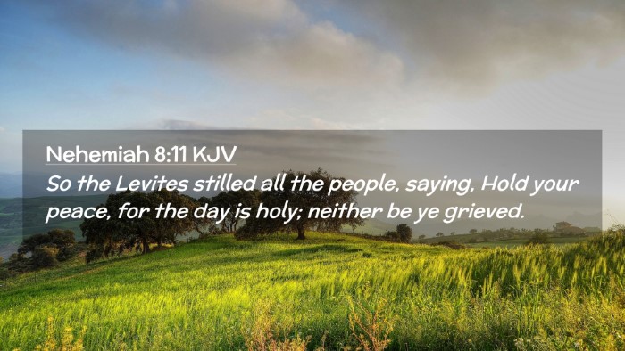 Picture 02 - Nehemiah 8:11 KJV Desktop Wallpaper - So the Levites stilled all the people, saying, - Desktop Bible Verse Wallpaper