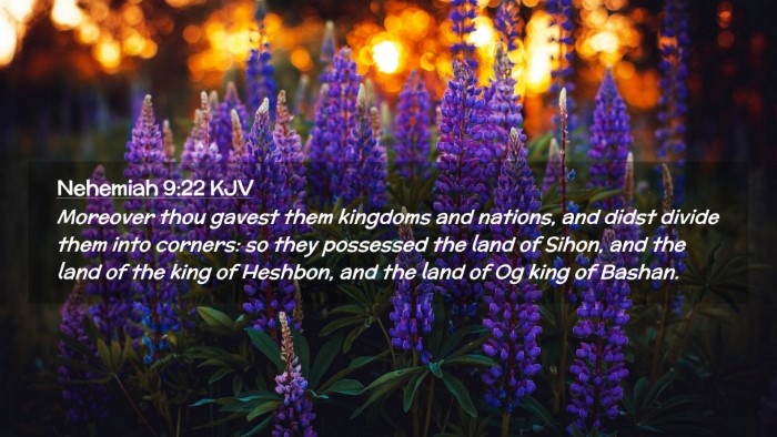 Picture 02 - Nehemiah 9:22 KJV Desktop Wallpaper - Moreover thou gavest them kingdoms and nations, - Desktop Bible Verse Wallpaper