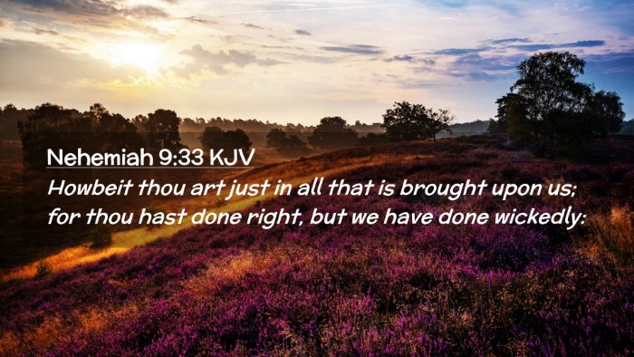 Picture 02 - Nehemiah 9:33 KJV Desktop Wallpaper - Howbeit thou art just in all that is brought upon - Desktop Bible Verse Wallpaper