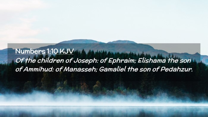 Picture 02 - Numbers 1:10 KJV Desktop Wallpaper - Of the children of Joseph: of Ephraim; Elishama - Desktop Bible Verse Wallpaper