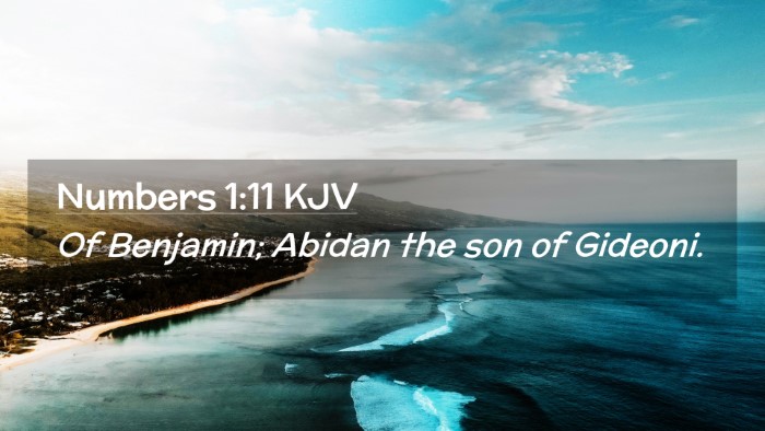 Picture 02 - Numbers 1:11 KJV Desktop Wallpaper - Of Benjamin; Abidan the son of - Desktop Bible Verse Wallpaper