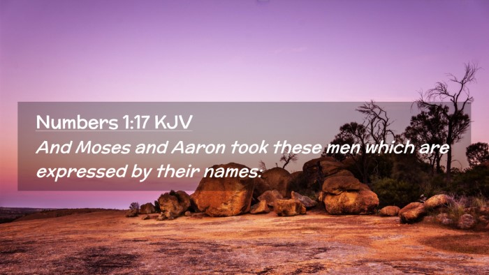 Picture 02 - Numbers 1:17 KJV Desktop Wallpaper - And Moses and Aaron took these men which are - Desktop Bible Verse Wallpaper