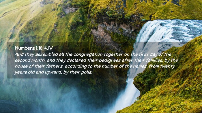 Picture 02 - Numbers 1:18 KJV Desktop Wallpaper - And they assembled all the congregation together - Desktop Bible Verse Wallpaper