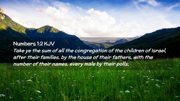 Picture 02 - Numbers 1:2 KJV Desktop Wallpaper - Take ye the sum of all the congregation of the - Desktop Bible Verse Wallpaper
