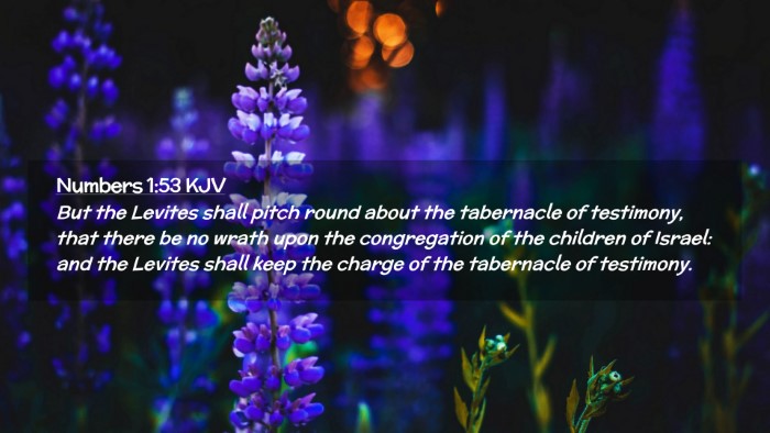 Picture 02 - Numbers 1:53 KJV Desktop Wallpaper - But the Levites shall pitch round about the - Desktop Bible Verse Wallpaper