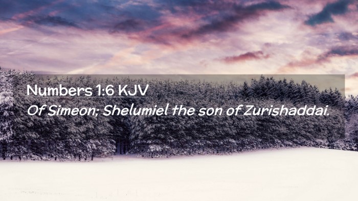Picture 02 - Numbers 1:6 KJV Desktop Wallpaper - Of Simeon; Shelumiel the son of - Desktop Bible Verse Wallpaper