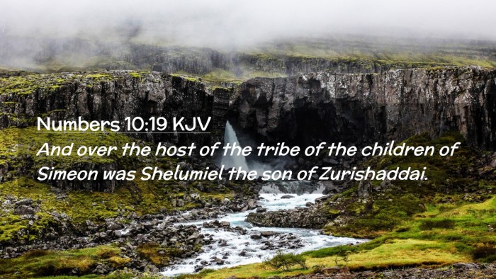 Picture 02 - Numbers 10:19 KJV Desktop Wallpaper - And over the host of the tribe of the children of - Desktop Bible Verse Wallpaper