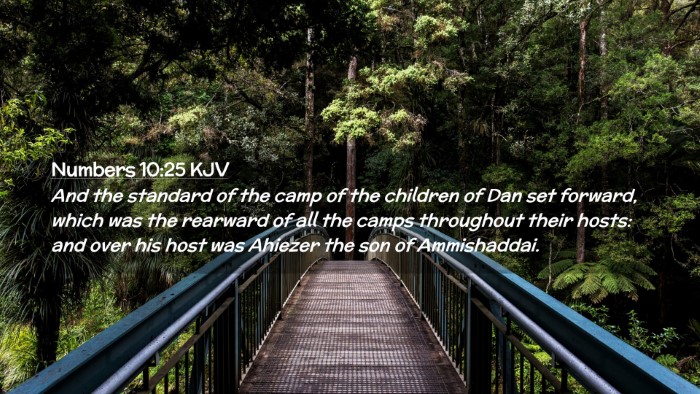 Picture 02 - Numbers 10:25 KJV Desktop Wallpaper - And the standard of the camp of the children of - Desktop Bible Verse Wallpaper