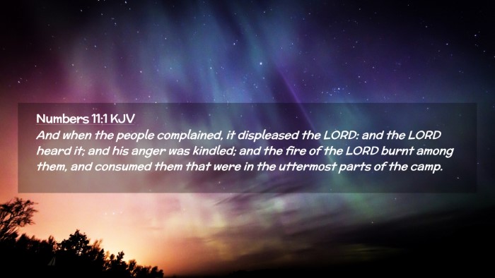 Picture 02 - Numbers 11:1 KJV Desktop Wallpaper - And when the people complained, it displeased the - Desktop Bible Verse Wallpaper
