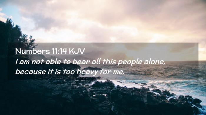 Picture 02 - Numbers 11:14 KJV Desktop Wallpaper - I am not able to bear all this people alone, - Desktop Bible Verse Wallpaper