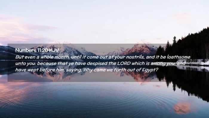 Picture 02 - Numbers 11:20 KJV Desktop Wallpaper - But even a whole month, until it come out at your - Desktop Bible Verse Wallpaper