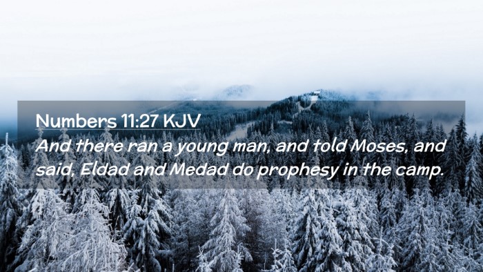 Picture 02 - Numbers 11:27 KJV Desktop Wallpaper - And there ran a young man, and told Moses, and - Desktop Bible Verse Wallpaper