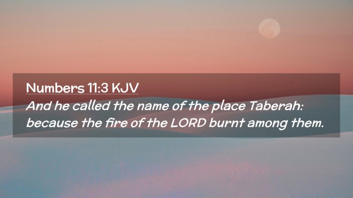 Picture 02 - Numbers 11:3 KJV Desktop Wallpaper - And he called the name of the place Taberah: - Desktop Bible Verse Wallpaper
