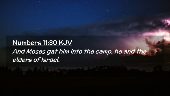 Picture 02 - Numbers 11:30 KJV Desktop Wallpaper - And Moses gat him into the camp, he and the - Desktop Bible Verse Wallpaper