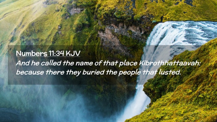 Picture 02 - Numbers 11:34 KJV Desktop Wallpaper - And he called the name of that place - Desktop Bible Verse Wallpaper